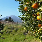I Due Grappoli Boscotrecase