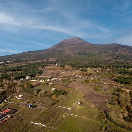 I Due Grappoli Διαμέρισμα Boscotrecase