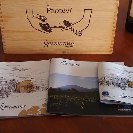 I Due Grappoli * Boscotrecase