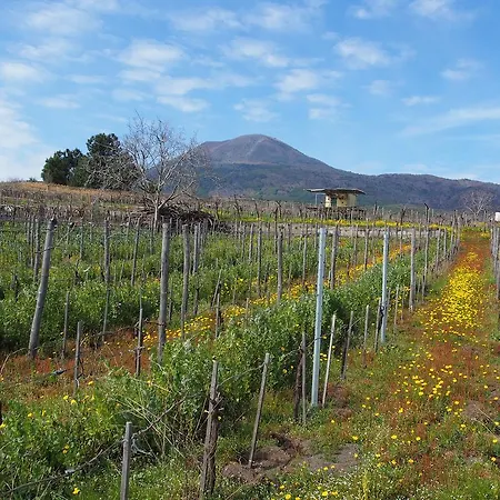 アパート I Due Grappoli *