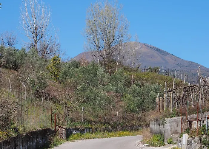 Apartamento I Due Grappoli *