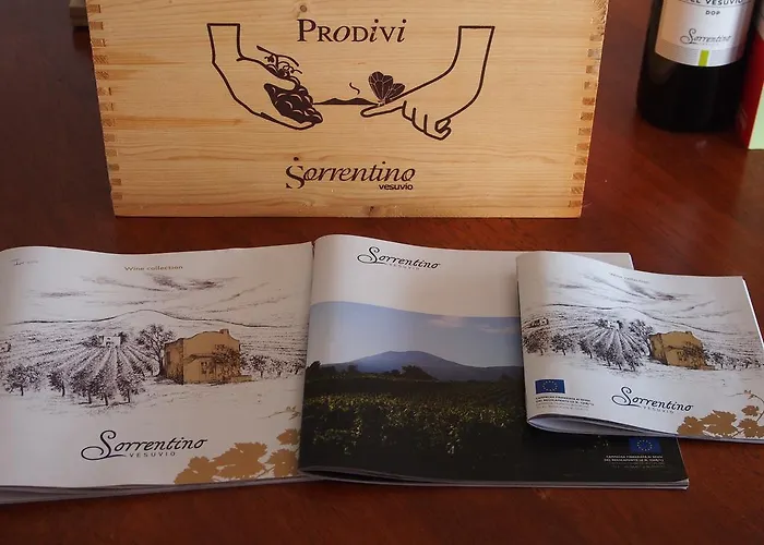 I Due Grappoli * Boscotrecase