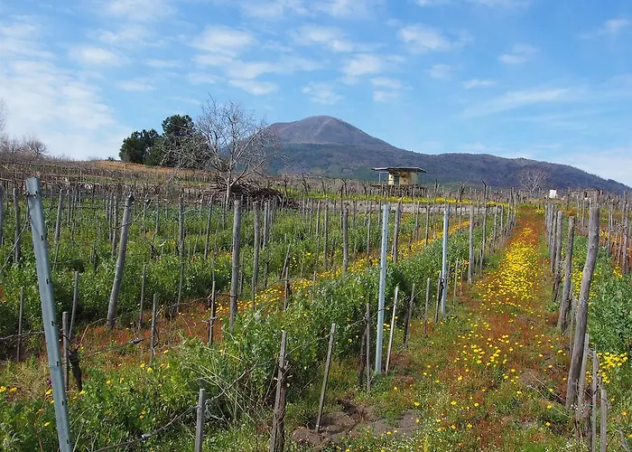 Apartamento I Due Grappoli *